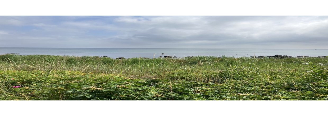 Redskaber til indre ro