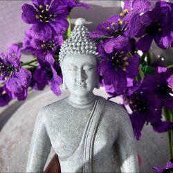 n�rbillede af hovedet og overkrop af thailandsk gr� buddha