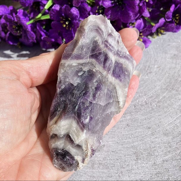 En r�, aflang Chevron Ametyst unika krystal, der holdes lodret i h�nden for at illustrere dens st�rrelse og naturlige form.