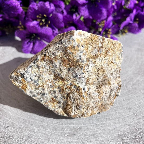 N�rbillede af uslebet dalmatinerjaspis p� 184 g, der viser krystallens naturlige pletter og r� overflade.