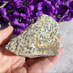 R� og prikket dalmatiner jaspis krystal vist i h�nden, fotograferet t�t p� mod en baggrund af lilla blomster.