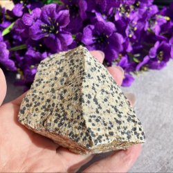 R� dalmatinerjaspis unika krystal holdt i en h�nd for at vise st�rrelsen mod en lilla blomster baggrund.