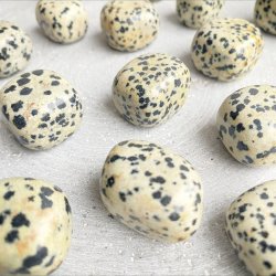 Jaspis, Dalmatiner (2-4 cm)