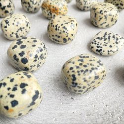 Jaspis, Dalmatiner (2-4 cm)