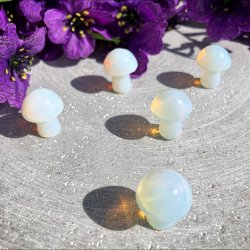 Opalit svamp (ca. 2 cm)