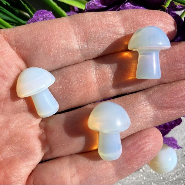 Opalit svamp (ca. 2 cm)