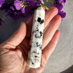 Regnbue Mnesten trn (10 cm)