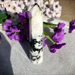 Regnbue Mnesten trn (10 cm)