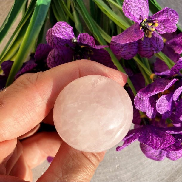 Rosakvarts Mushroom Gua Sha