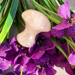 Rosakvarts Mushroom Gua Sha