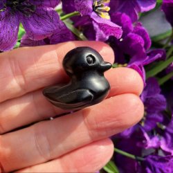 Sort  Obsidian and (ca. 2 cm)