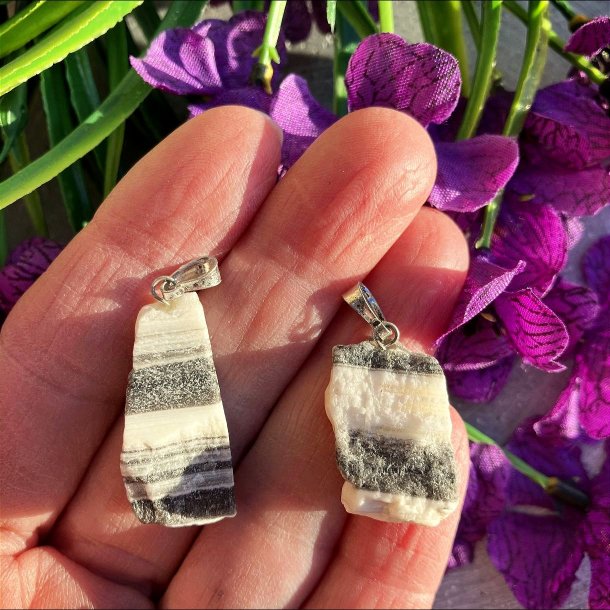 Zebra Onyx vedhng, R