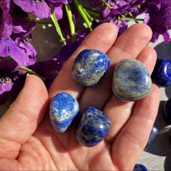 Lapis Lazuli (2-3 cm)